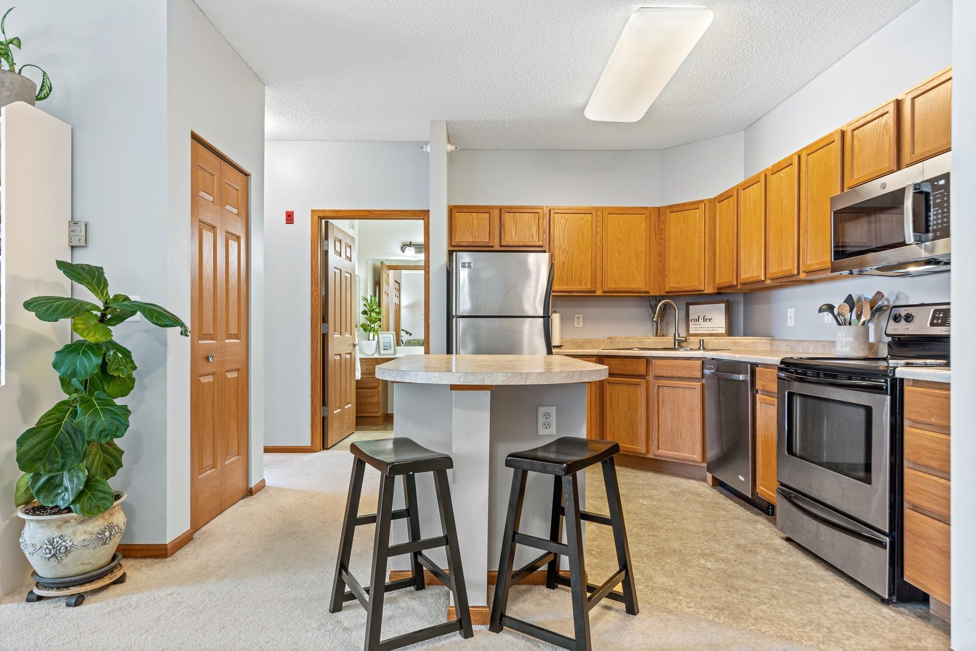 114200 Hundertmark Road, Unit 303 Chaska, MN 55318 - Photo 5 of 18 Gallery Image 5