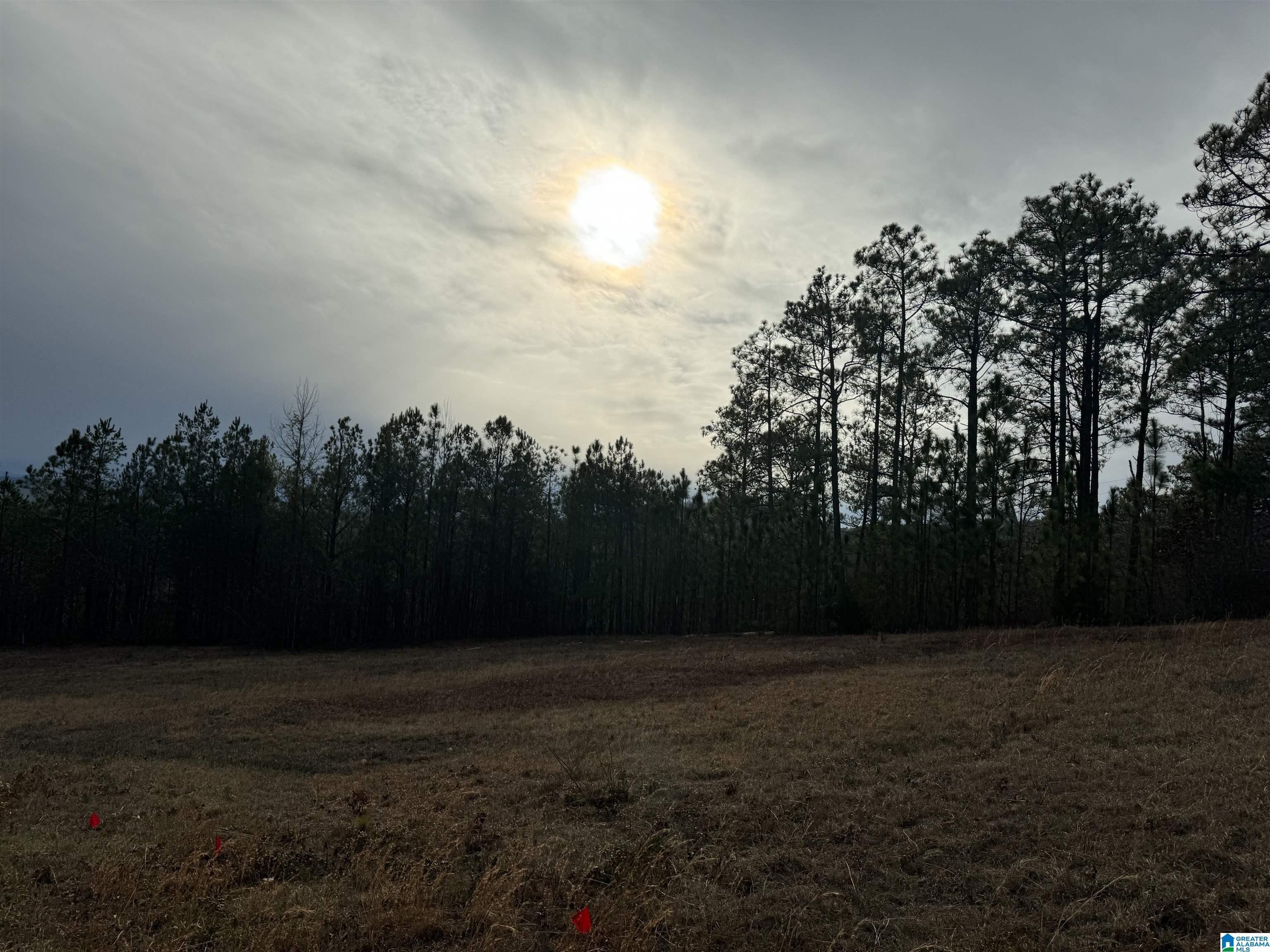 223 Mountain Ridge Road, Unit 65A AND 66A Oxford, AL 36203 - Photo 10 of 37 Gallery Image 10