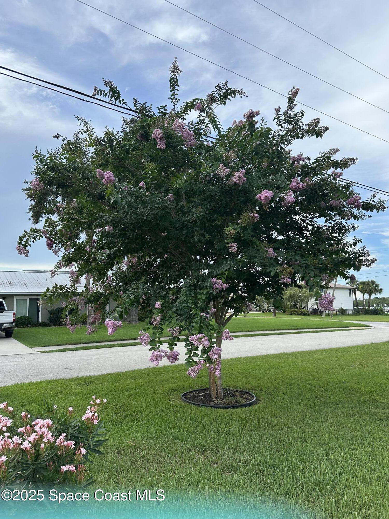 1100 South Riverside Drive Edgewater, FL 32132 - Photo 48 of 67 IMG_8305