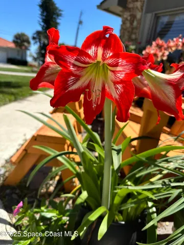 $874,900 | 1100 South Riverside Drive, Edgewater, FL 32132