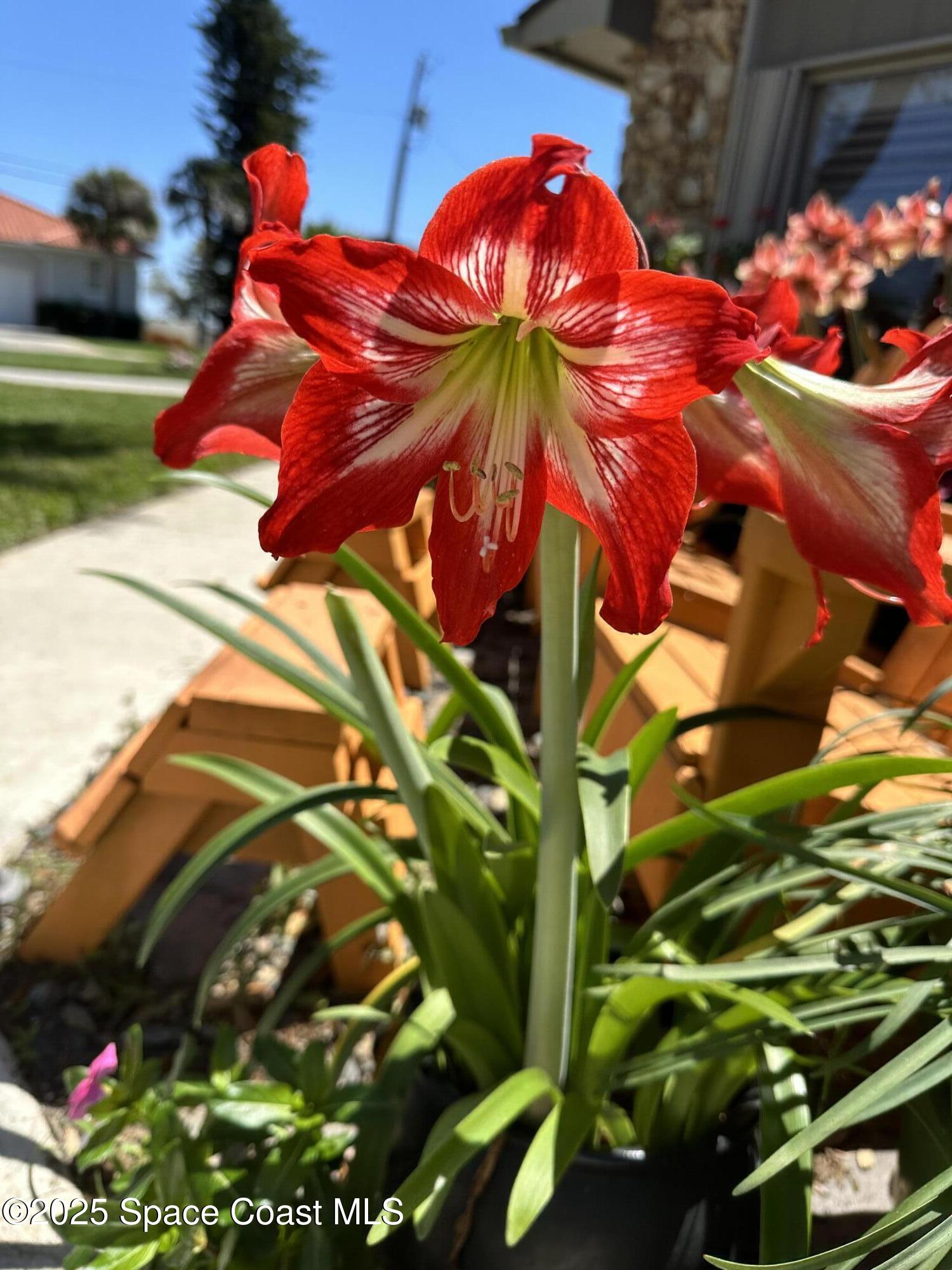 1100 South Riverside Drive Edgewater, FL 32132 - Photo 54 of 67 IMG_8302