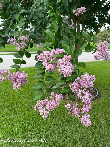 $874,900 | 1100 South Riverside Drive, Edgewater, FL 32132