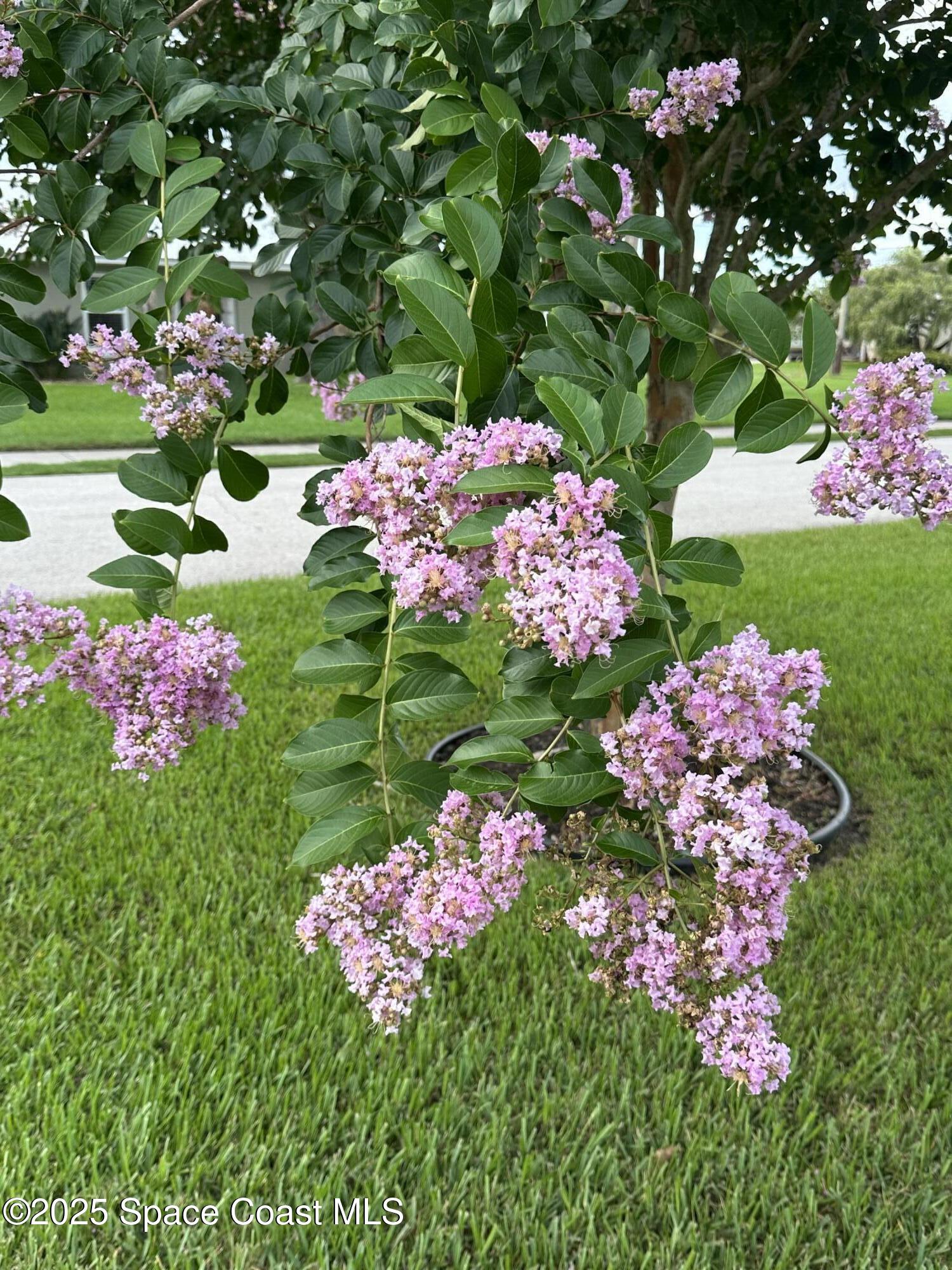 1100 South Riverside Drive Edgewater, FL 32132 - Photo 54 of 68 IMG_8306
