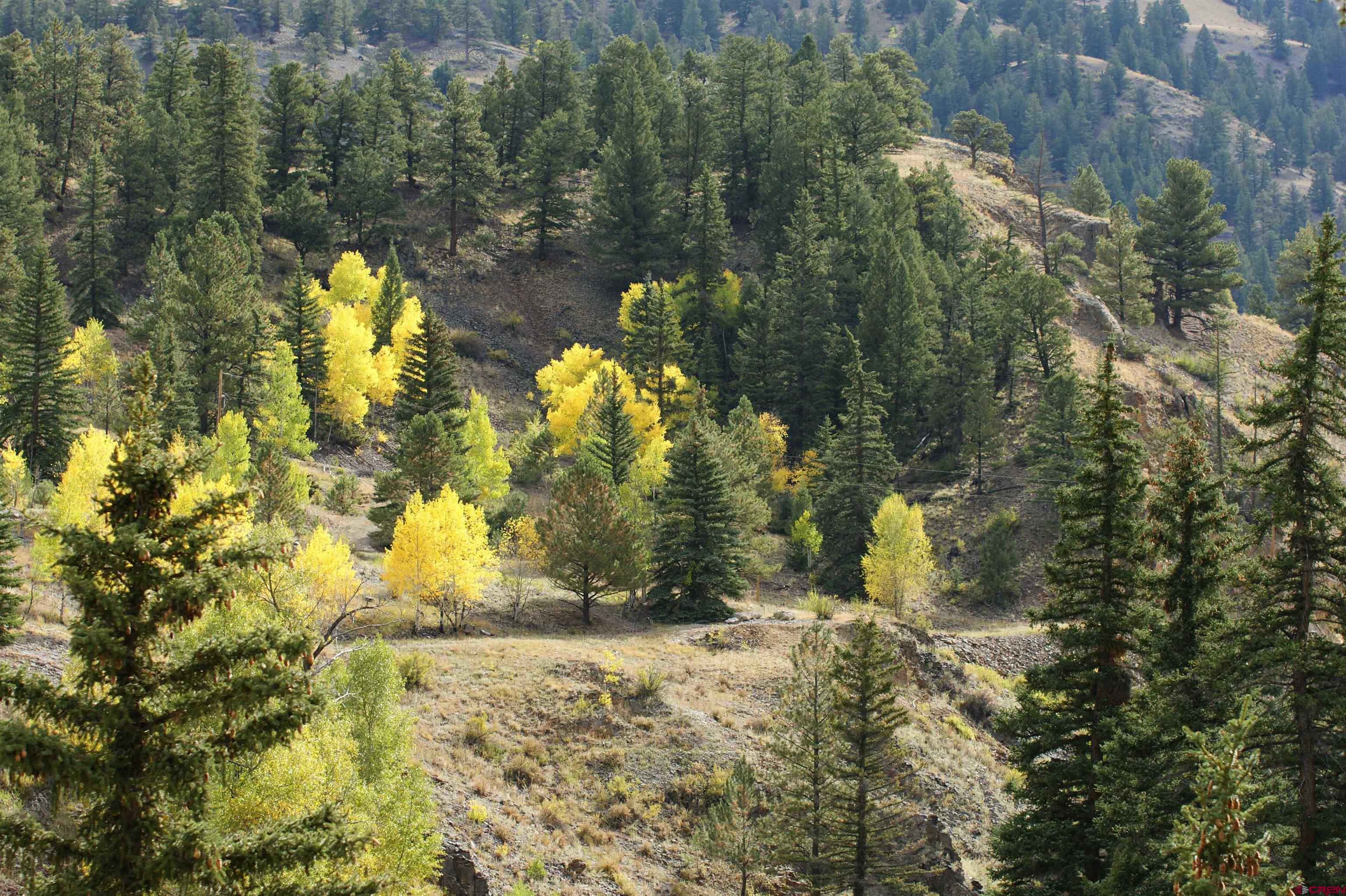 1426 Slumgullion Road Lake City, CO 81235 - Photo 11 of 15 a view of a yard