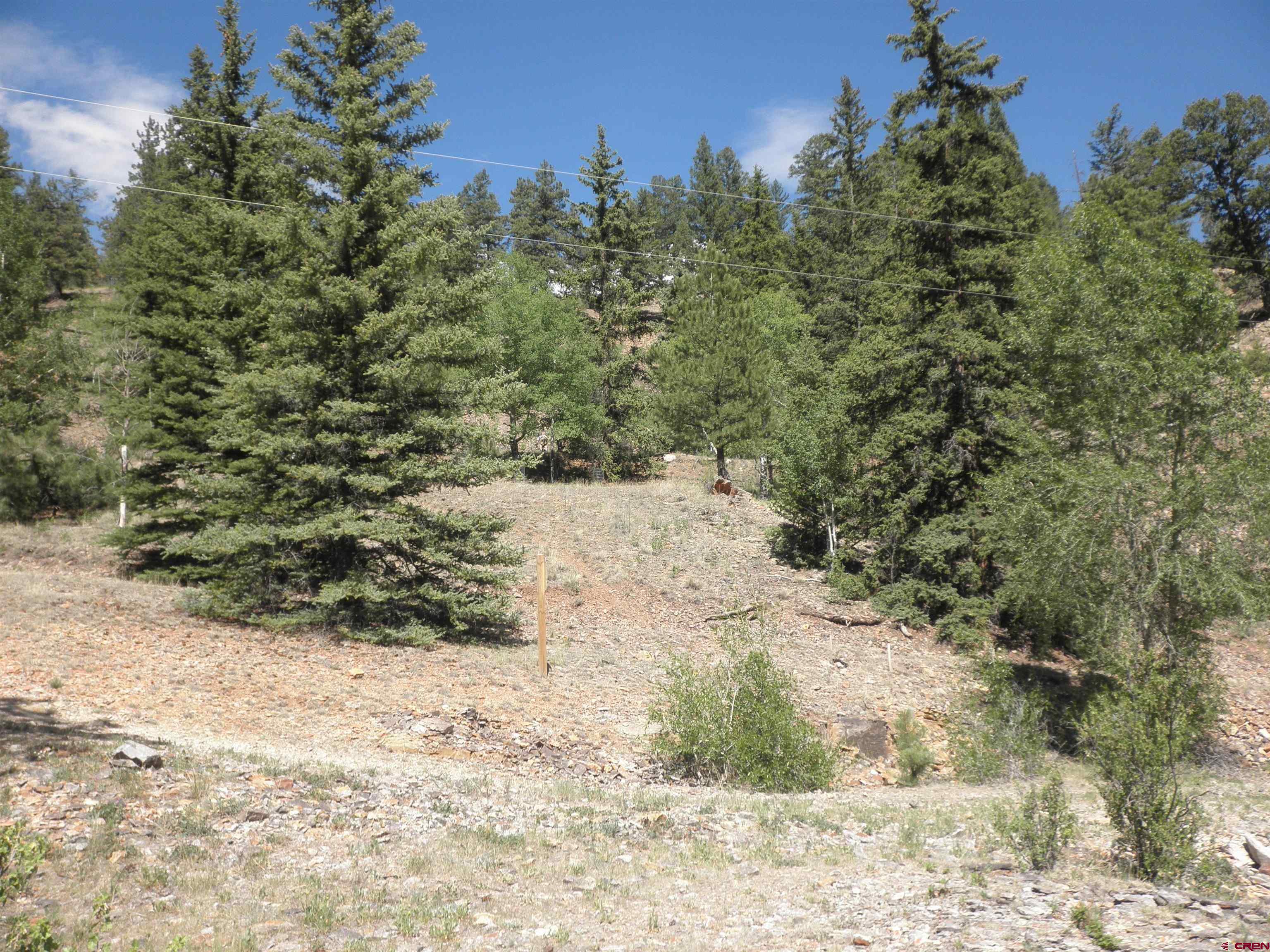 1426 Slumgullion Road Lake City, CO 81235 - Photo 13 of 15 a view of a yard with a tree