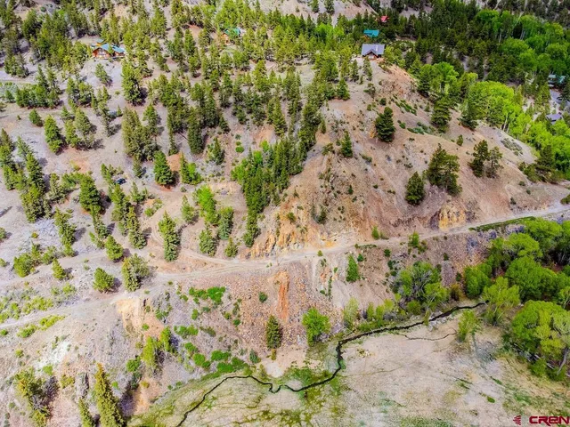 a view of a bunch of trees