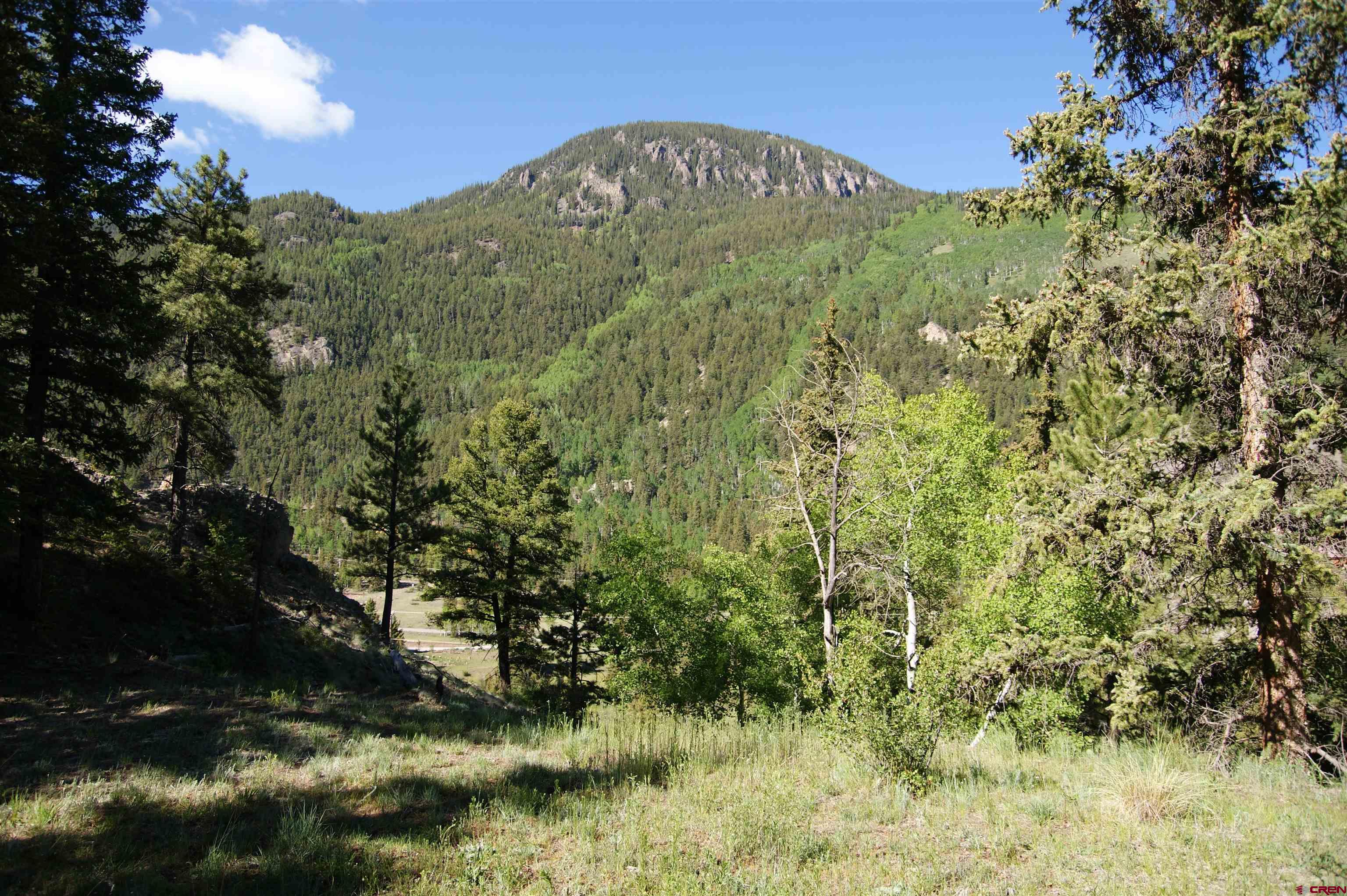 1426 Slumgullion Road Lake City, CO 81235 - Photo 6 of 15 a view of a bunch of trees
