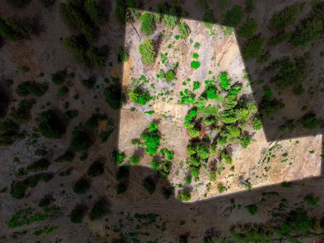 a view of a yard with trees