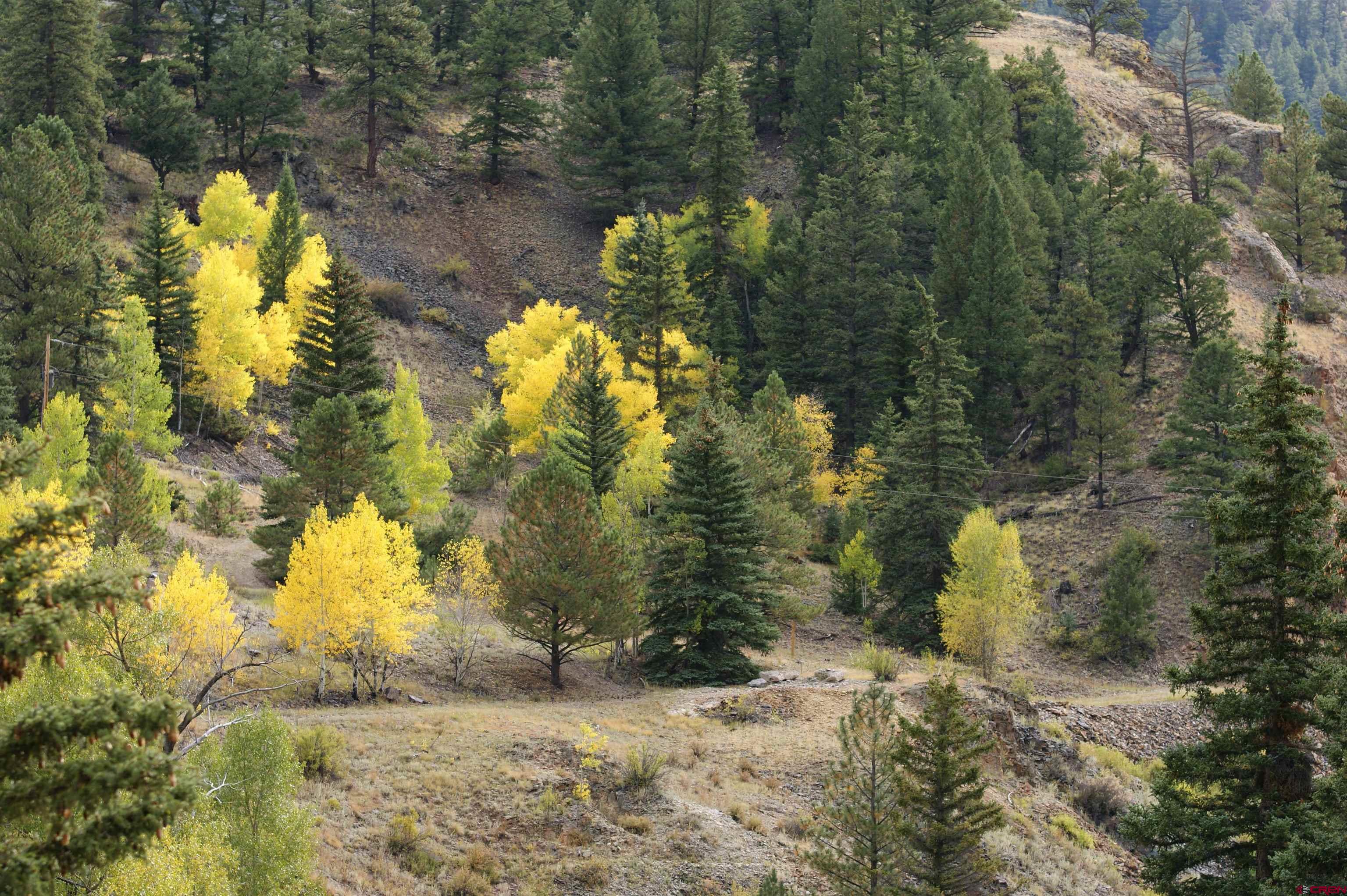 1426 Slumgullion Road Lake City, CO 81235 - Photo 8 of 15 a view of a yard with trees