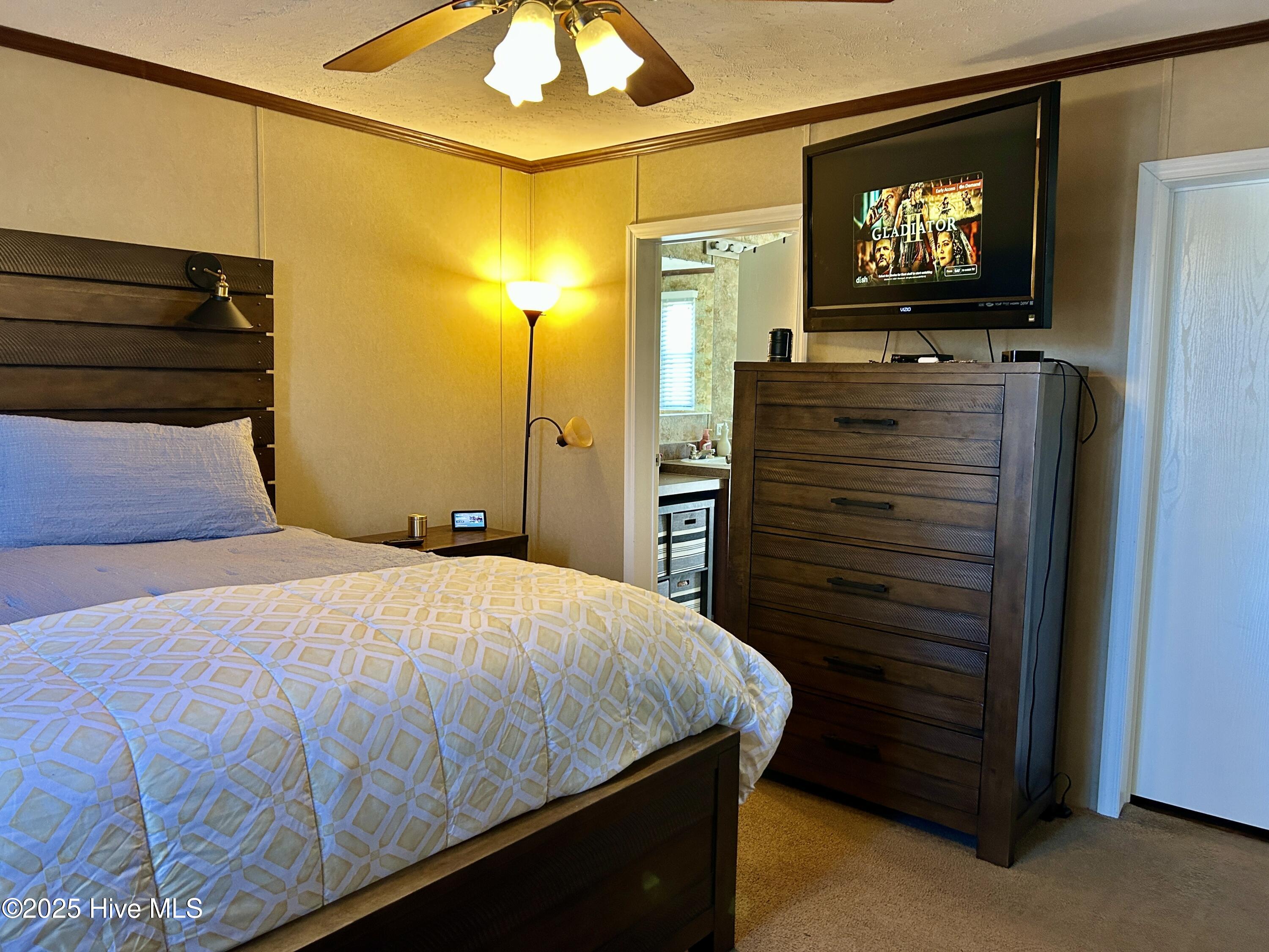 220 Morning Road Windsor, NC 27983 - Photo 41 of 46 primary bedroom with door into ensuite