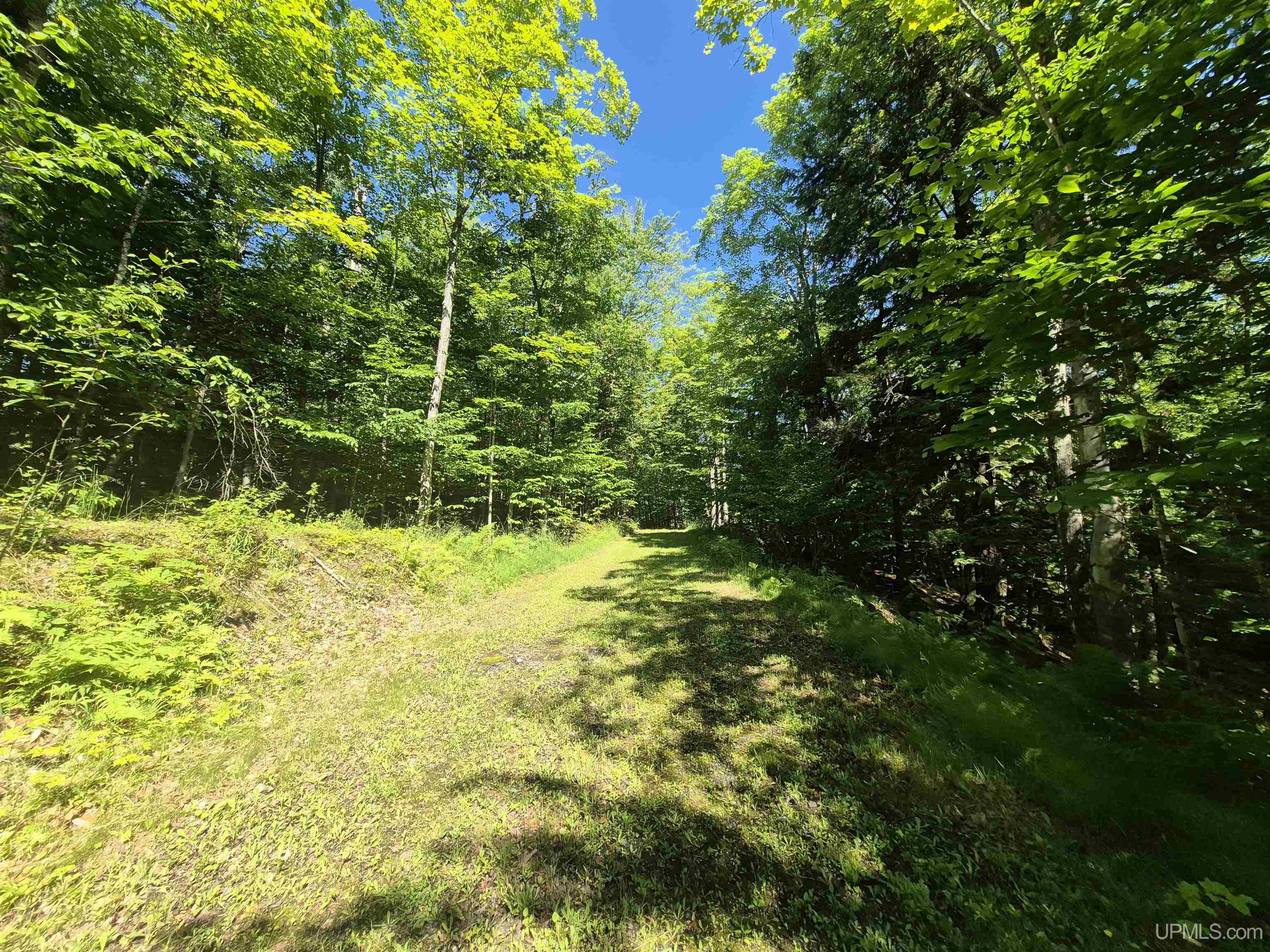 8-acres Nestor Road Munising, MI 49862 - Photo 34 of 43