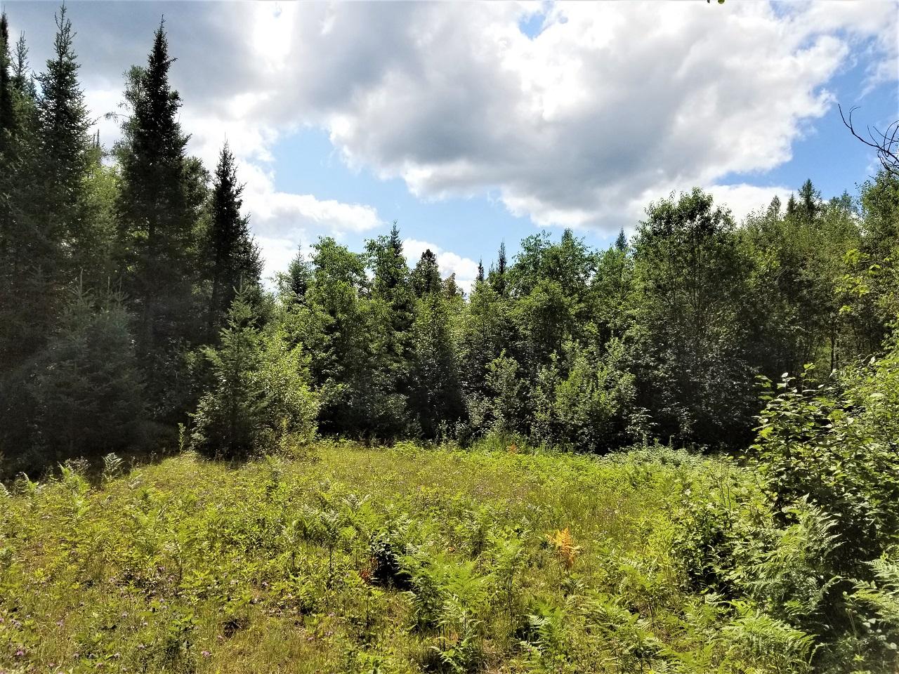 Lot 26 Three Ten Road Mercer, WI 54547 - Photo 5 of 24 Gallery Image 5
