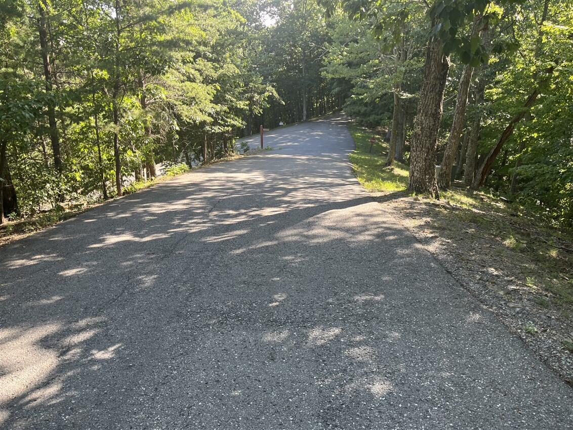 Lot 20 Wildwood Ridge Lindside, WV 24951 - Photo 7 of 21 Gallery Image 7