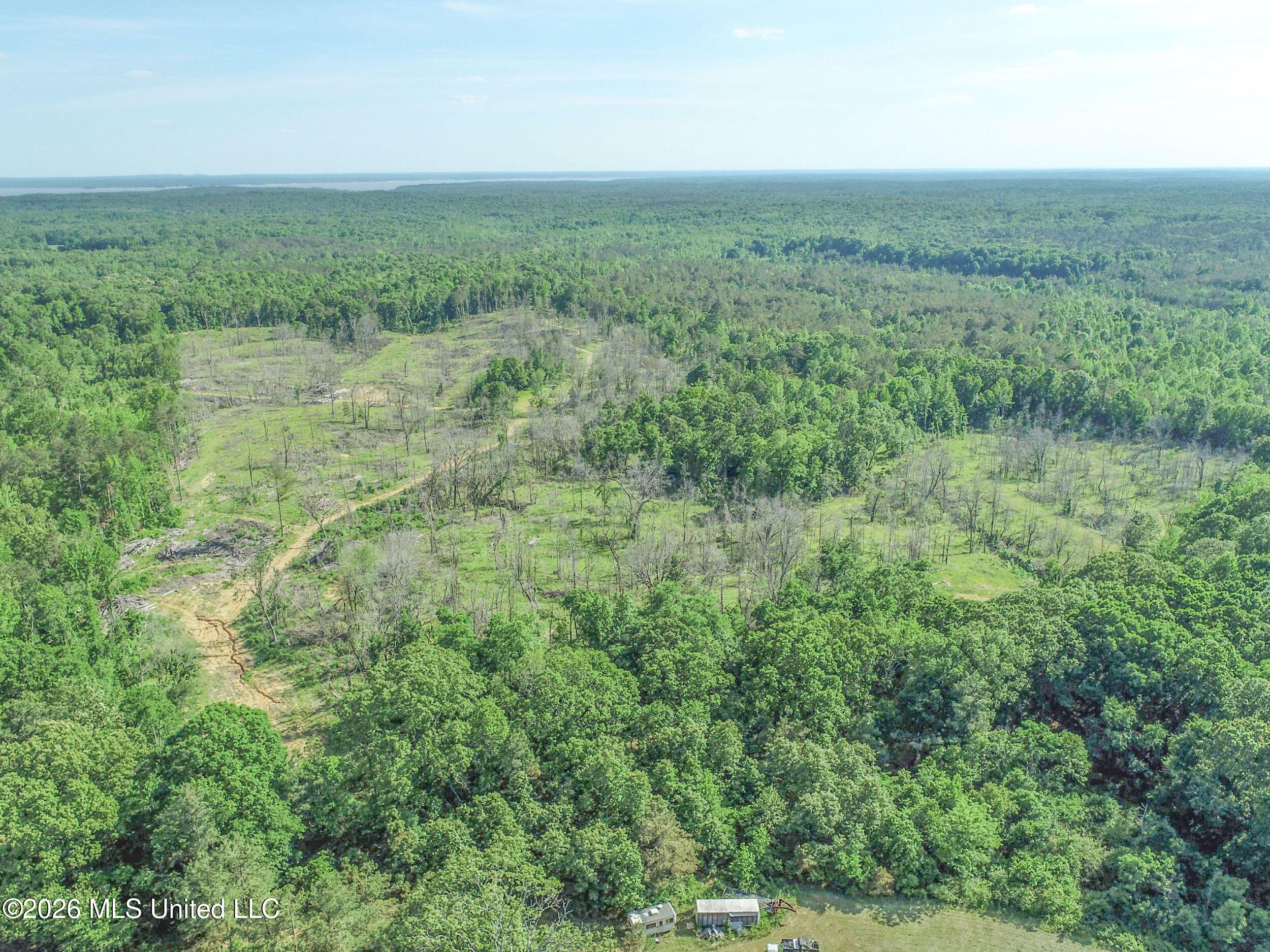 Wayne Massie Road Como, MS 38619 - Photo 20 of 184 3ctwmrd5