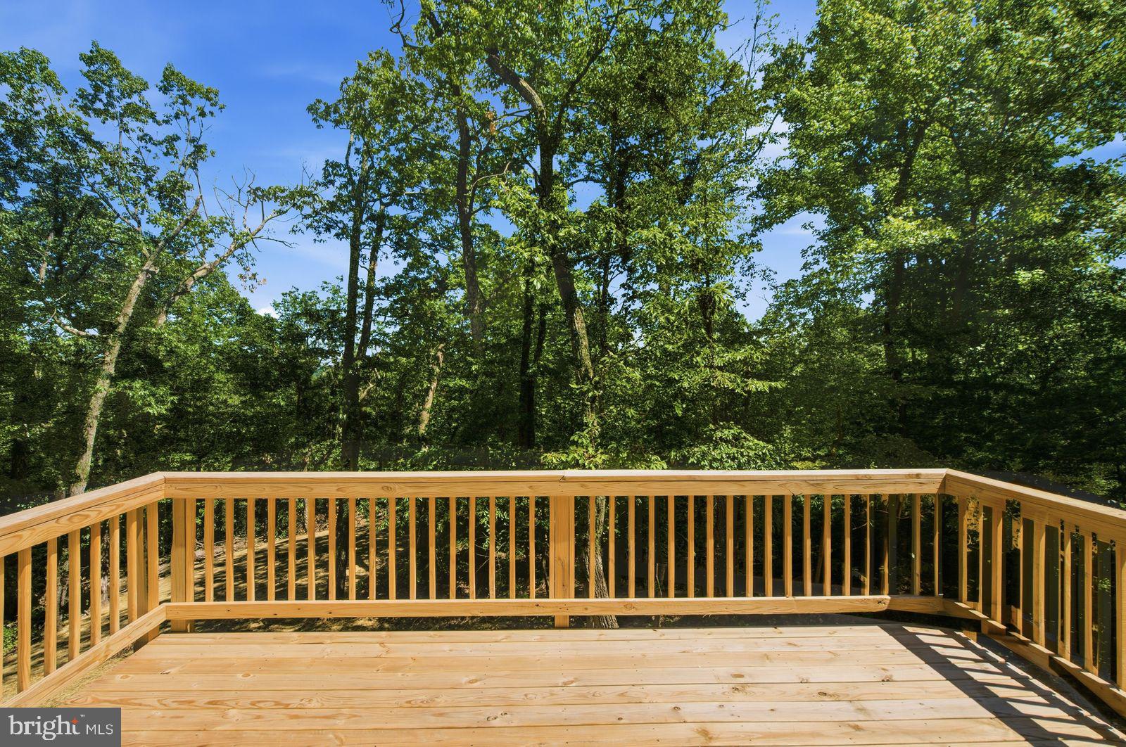 127 Inca Trail Winchester, VA 22602 - Photo 15 of 18