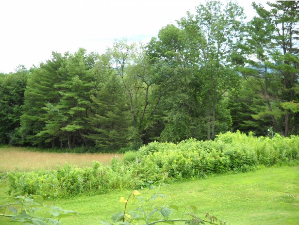 128 Town Farm Road Bradford, VT 05033 - Photo 14 of 15 Gallery Image 14