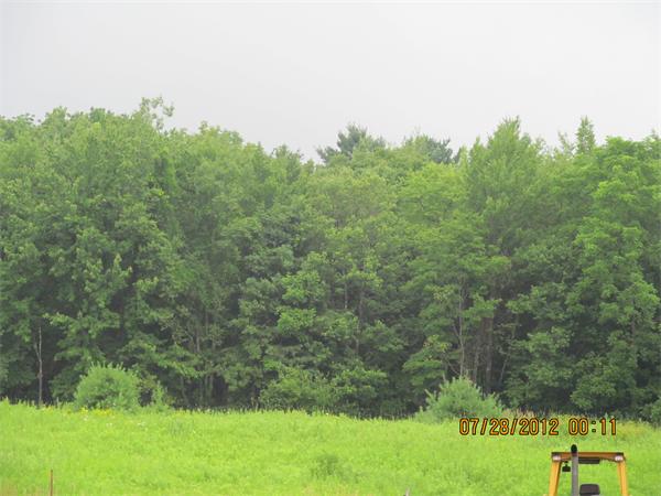 1574 Main Road Granville, MA 01034 - Photo 4 of 13 a view of a yard