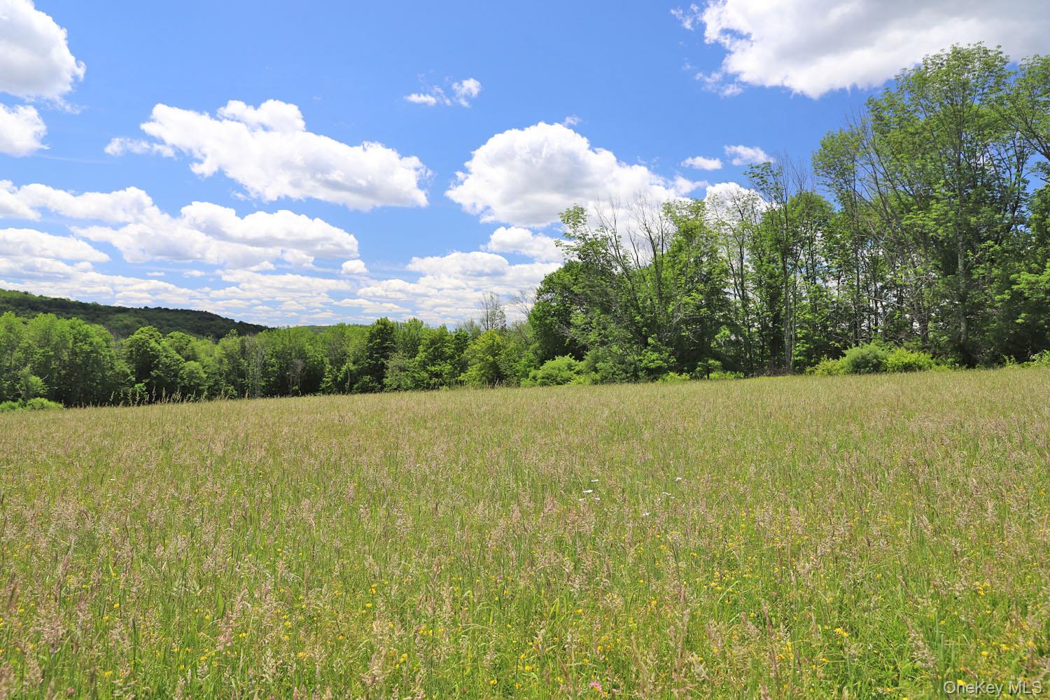 Dietz Road Callicoon Center, NY 12724 - Photo 10 of 24 Meadow to treeline