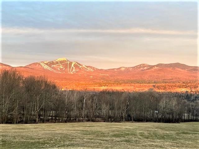 2844 East Hill Road Troy, VT 05859 - Photo 6 of 40 Gallery Image 6