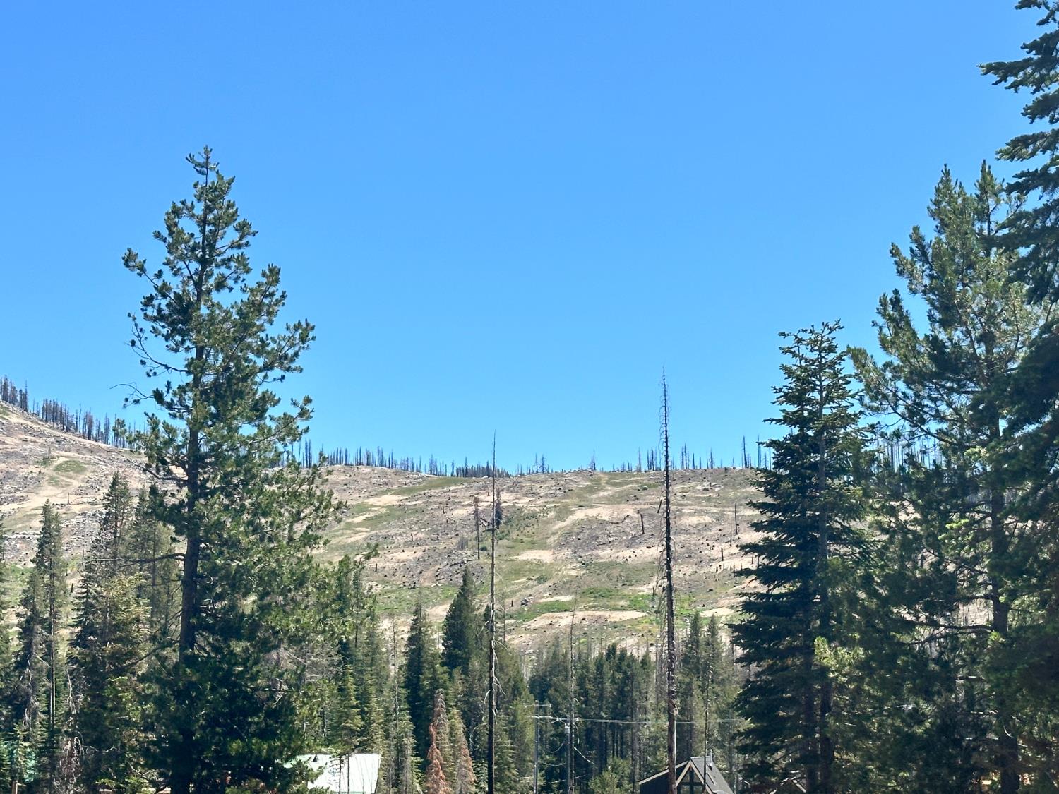 7177 Sierra Pines Road Twin Bridges, CA 95735 - Photo 34 of 34