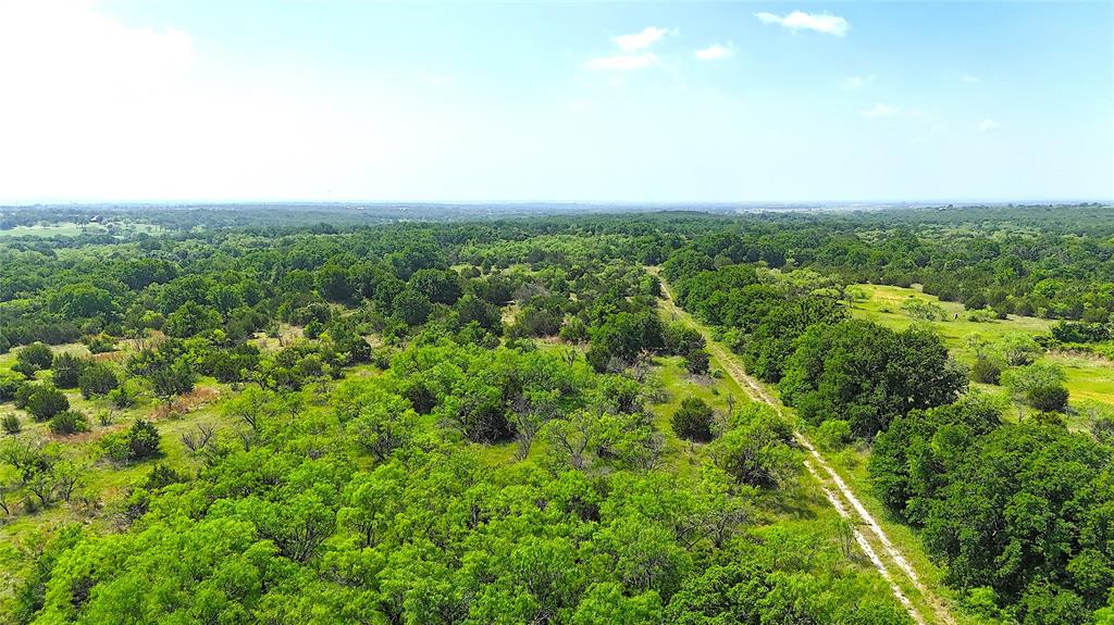 Tbd Ballard Road Weatherford, TX 76088 - Photo 7 of 17