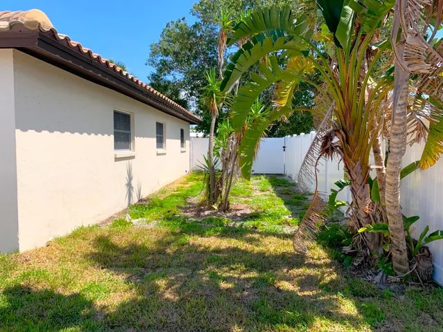 a backyard of a house with plants and large tree
