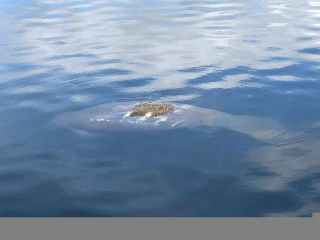 a view of a city from a balcony