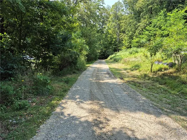a view of yard with green space