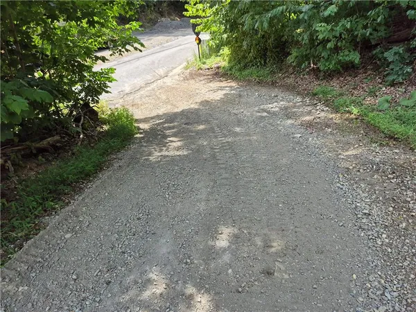 a view of a dirt road with trees in the background