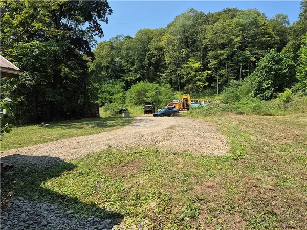 a view of a yard with plants and trees