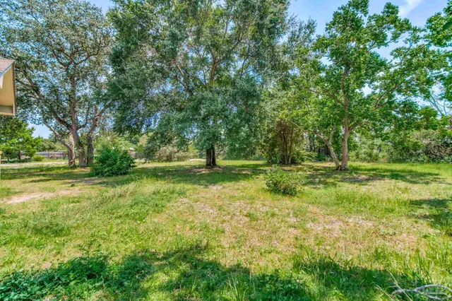 a view of outdoor space with trees all around