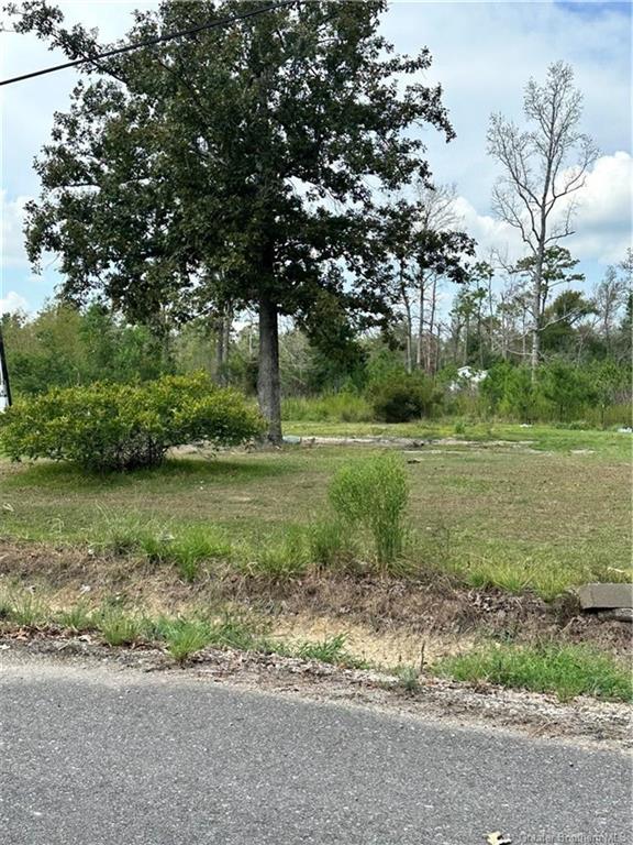 100 Hereford Drive Ragley, LA 70657 - Photo 6 of 9