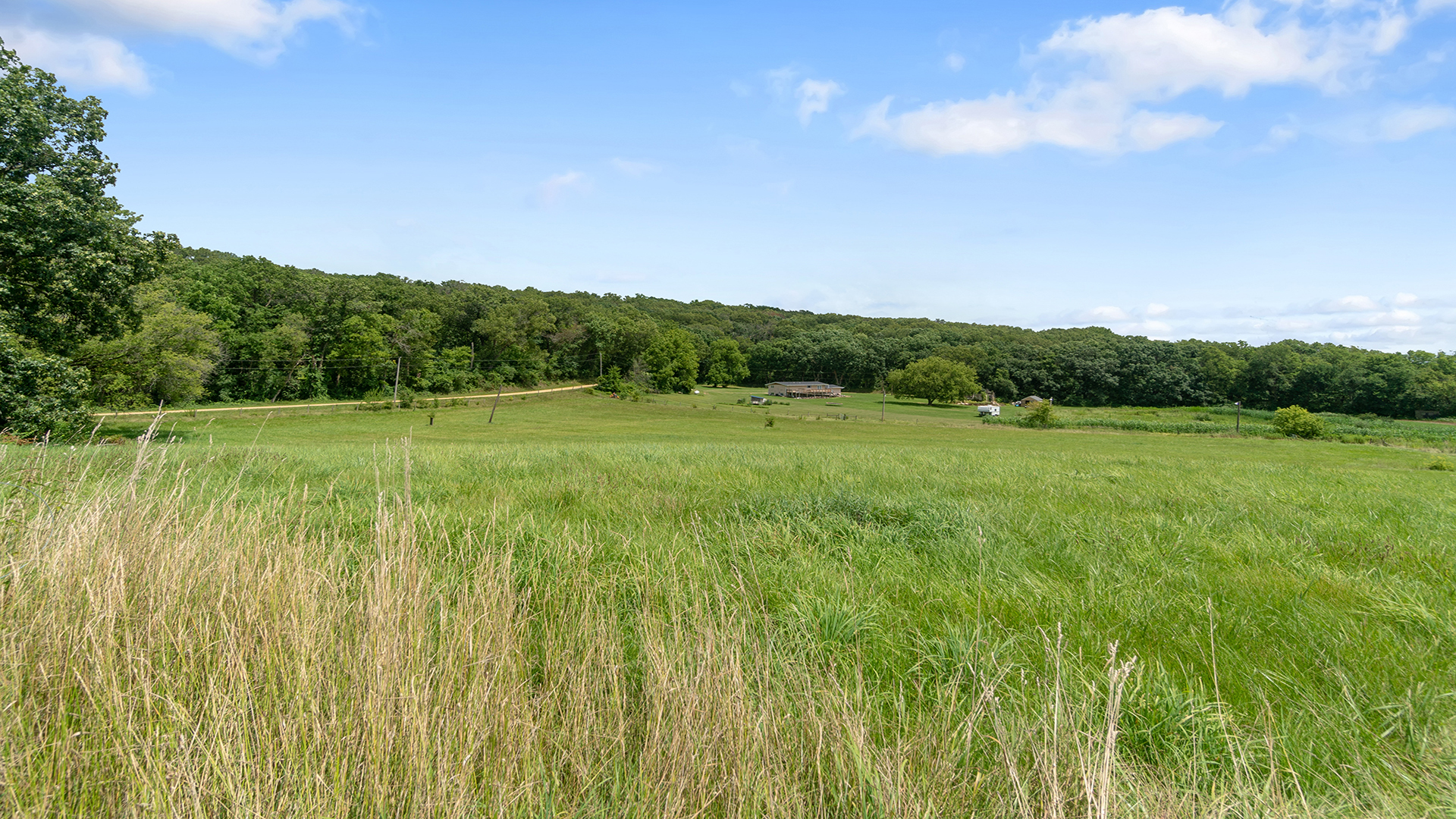 503 West Devils Backbone Road Oregon, IL 61061 - Photo 46 of 46 a view of a green field with trees in the background