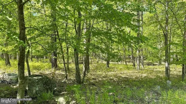 a backyard of a house with lots of plants and trees