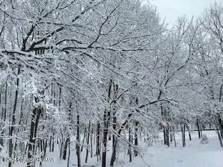 a view of a backyard of a house
