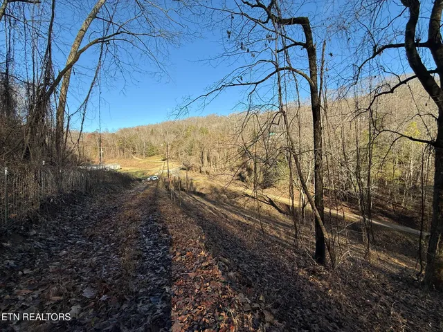 $80,000 | South Marlowe Lane, Speedwell, TN 37870