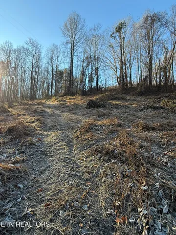 $80,000 | South Marlowe Lane, Speedwell, TN 37870