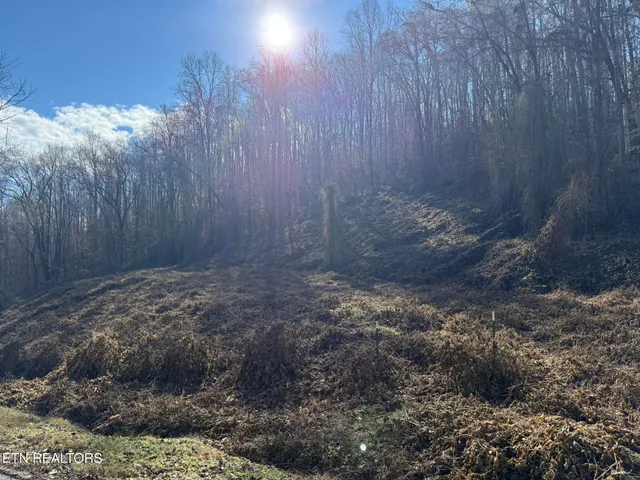 $80,000 | South Marlowe Lane, Speedwell, TN 37870