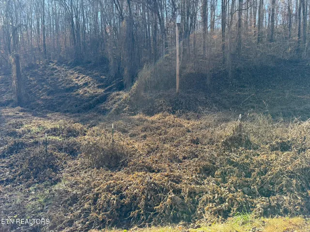 $80,000 | South Marlowe Lane, Speedwell, TN 37870