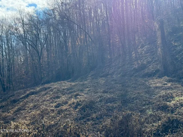 $80,000 | South Marlowe Lane, Speedwell, TN 37870