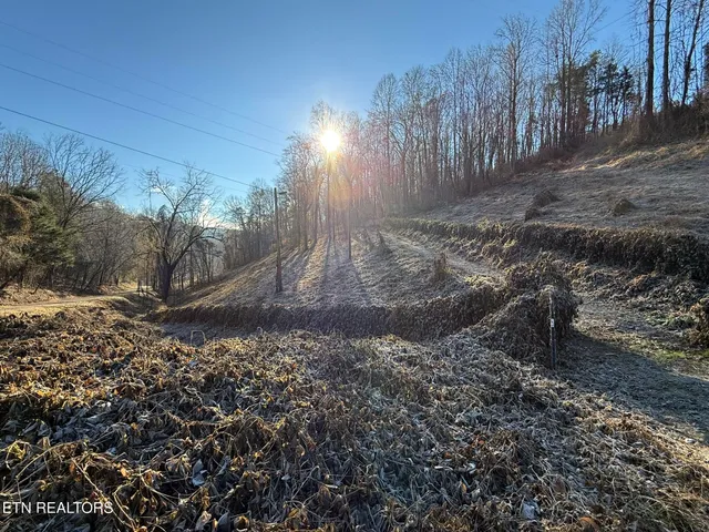 $80,000 | South Marlowe Lane, Speedwell, TN 37870