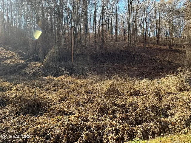 $80,000 | South Marlowe Lane, Speedwell, TN 37870