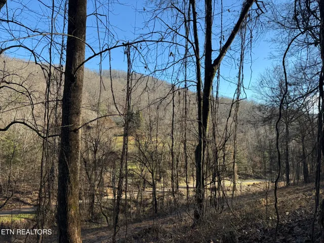 $80,000 | South Marlowe Lane, Speedwell, TN 37870