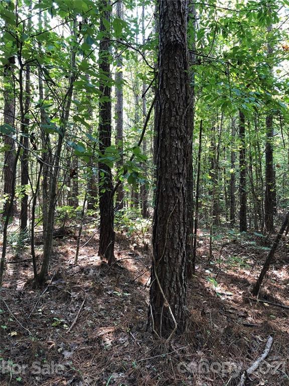 0 Everett Chappell Road Mount Gilead, NC 27306 - Photo 1 of 16 Gallery Image 1