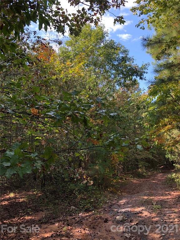 0 Everett Chappell Road Mount Gilead, NC 27306 - Photo 11 of 16 Gallery Image 11