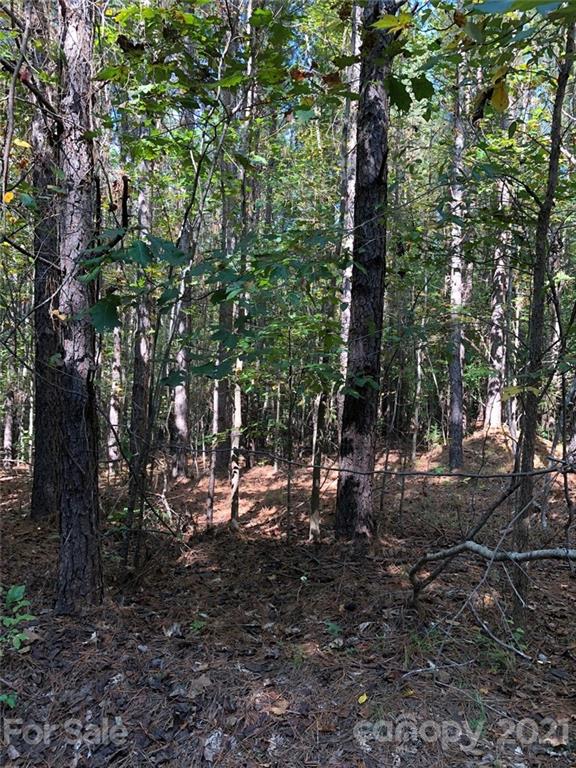 0 Everett Chappell Road Mount Gilead, NC 27306 - Photo 12 of 16 Gallery Image 12