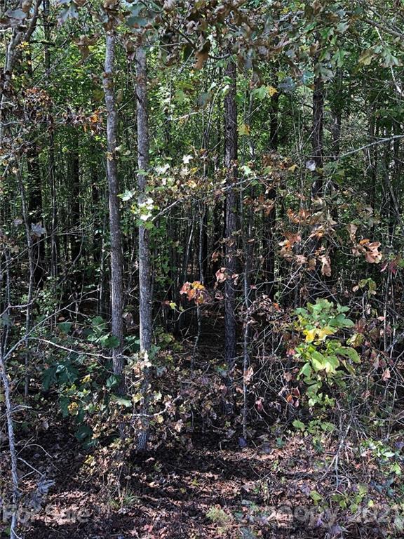 0 Everett Chappell Road Mount Gilead, NC 27306 - Photo 14 of 16 Gallery Image 14
