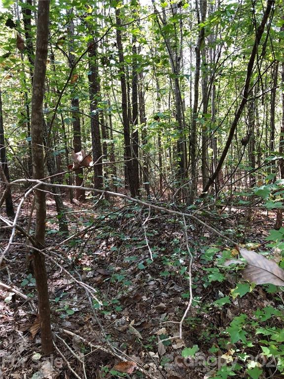 0 Everett Chappell Road Mount Gilead, NC 27306 - Photo 3 of 16 Gallery Image 3