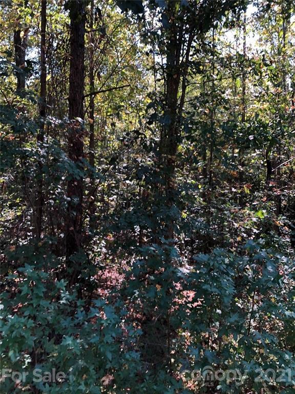 0 Everett Chappell Road Mount Gilead, NC 27306 - Photo 4 of 16 Gallery Image 4