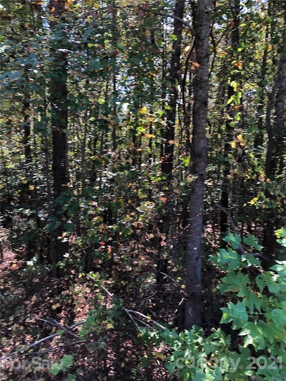 0 Everett Chappell Road Mount Gilead, NC 27306 - Photo 5 of 16 Gallery Image 5
